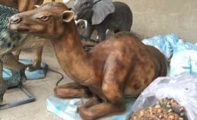 Animatronic Giant-Footed Camel, Dimensions Approx. Height 1.3m, Length 2.5m, Gross Weight 109kg.