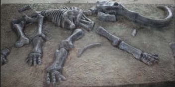 Mammoth Excavation Site, 3 Pieces Approx. 3.6m x 2.4m, Gross Weight 803kg, constructed from