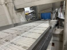 Plastic Mat-Top Conveyor with Stainless Steel Frame 192