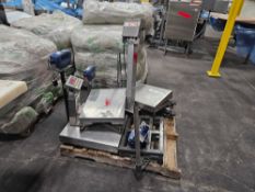 Pallet of Scales