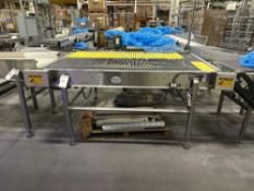 Used Side Transfer Conveyor Belt
