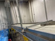 plastic matte conveyor