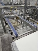 Peel Board Plastic Table-top Belt 9' L By 3' W dual conveyor blue belt