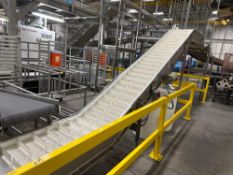 Cleated Incline Conveyor with Stainless Steel Frame