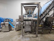 KleenLine Corporation Hopper With Slide Gate Bottom Discharge