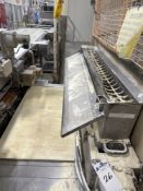 Flour Dispenser with 4' Long Conveyor