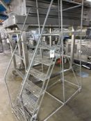 Rolling Ladder