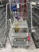 Stainless Steel Ladder