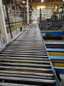 Chain Conveyor and Roller Conveyor Only from Palletizing System - Subject to Bulk