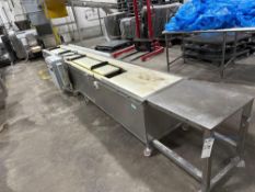 Cleated Tray Conveyor with Stainless Steel Prep Table