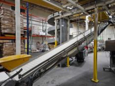 BMI 2911 Partially Suspended Mat-Top Incline Conveyor