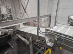 BMI Plastic Mat-Top Conveyor with Stainless Steel Frame