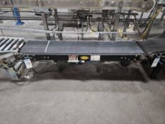 Hytrol Flat Top Conveyor