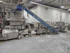 Bulk Bid for Rheon Dough Sheeting Makeup Line - SUBJECT to Piecemeal