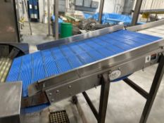 BMI Plastic Mat-Top Incline Conveyor
