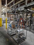 Rolling Step Ladder with built in shelving