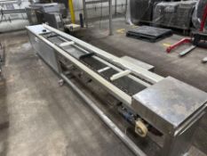 Cleated Tray Conveyor