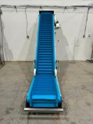Custom Big Blue Nestle Cleated Incline Conveyor