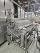 Stainless Steel Spray oiler with 60