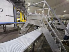 Stainless Steel Walkover Mezzanine With Stairs and Railing