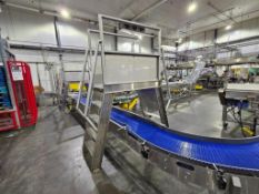 Stainless Steel Walkover Mezzanine With Platform