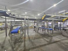 Mat Top Conveyor with 90° End and (2) Hytrol Corner Conveyor Offshoots