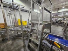 Stainless Steel Walkover Mezzanine With Platform