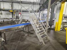 Stainless Steel Walkover Mezzanine With Stairs and Railing