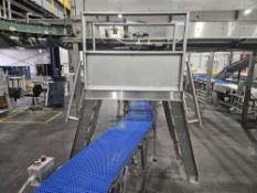 Step Over Mezzanine Ladder