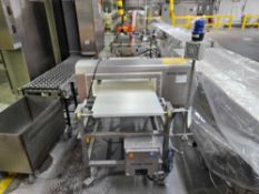 Mettler Toledo V4-RAD 5.5 Inch High By 21.5 Inch Wide Metal Detector