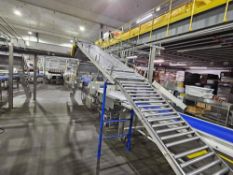 195 Inches Long By 21.5 Inches Wide Gravity Roller Conveyor