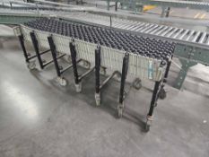 Best Flex Roller Conveyor