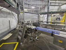 Stainless Steel Walkover Mezzanine With Stairs and Railing