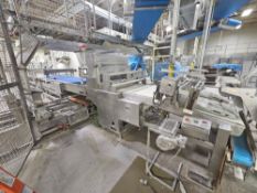 Rheon Gravimetric 37