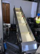 Holac GFA Cleated Inclined SS Conveyor 20