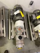 Fristam FDS2 15 HP Positive Displacement Pump