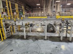 Hytrol Lineshaft Roller Conveyor 165