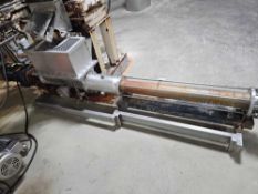 Seepex Pump w/ Hopper