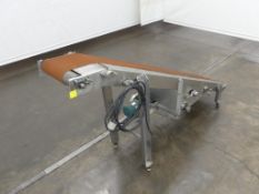 Belt Incline Conveyor 117