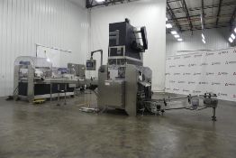 Fallas R400 Robotic Case Packer with Uppender