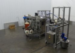 Triapex HV Stainless Steel Vertical Form Fill and Seal with Liquid Filler and Vacuum Pump