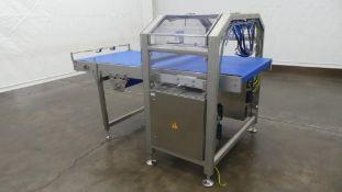 Emkon Automation Stainless Steel Smooth Top Belt Infeed Conveyor