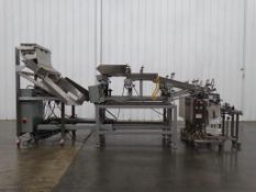 Weighpack TW-TP Linear Counter & VS Bagging System