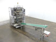 Toyo TM50-10 Automatic Vertical Form Fill Machine