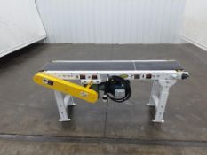 Hytrol Case Belt Conveyor 70 x 12