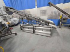 Incline Stainless Steel Twin Screw Auger
