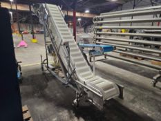 BMI Dual Belt Conveyor