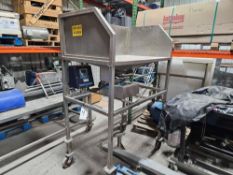 Stainless Steel Hopper with Thermo Scientific Apex 300 Gravity Feed Metal Detector