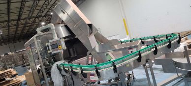 Shampoo Bottling Line