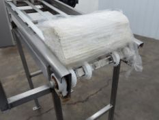Incline Plastic Mat Top Conveyor 5'L x 18